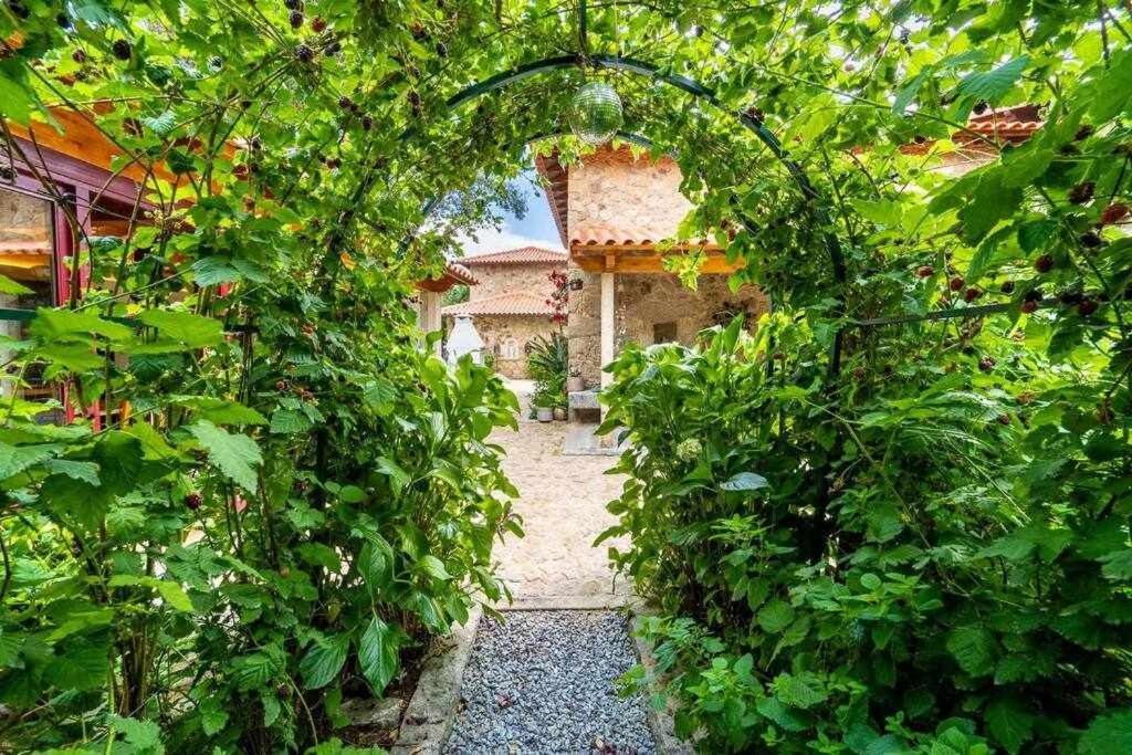 Casas Casal Do Carvalhal - Agroturismo Amares Kültér fotó