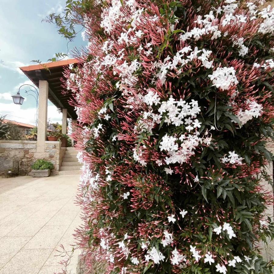 Casas Casal Do Carvalhal - Agroturismo Amares Kültér fotó
